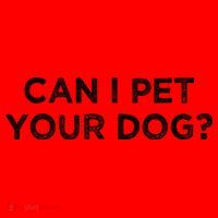 Can I Pet Your Dog Santa Hat thumb 1