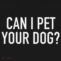 Can I Pet Your Dog Popular Funny Quote Women's Hoodie thumb 2