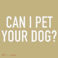 Can I Pet Your Dog Popular Funny Quote T-Shirt thumb 7