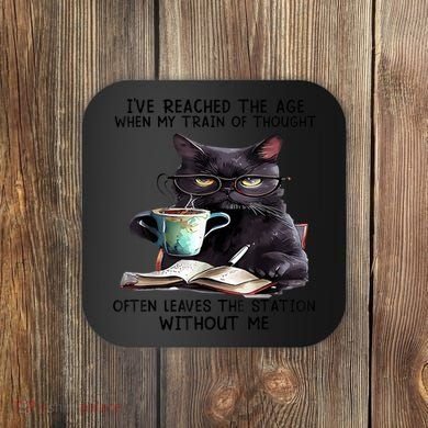 Cat Ive Reached The Age When My Train Of Thought Coaster