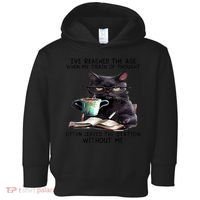 Cat Ive Reached The Age When My Train Of Thought Toddler Hoodie thumb 0
