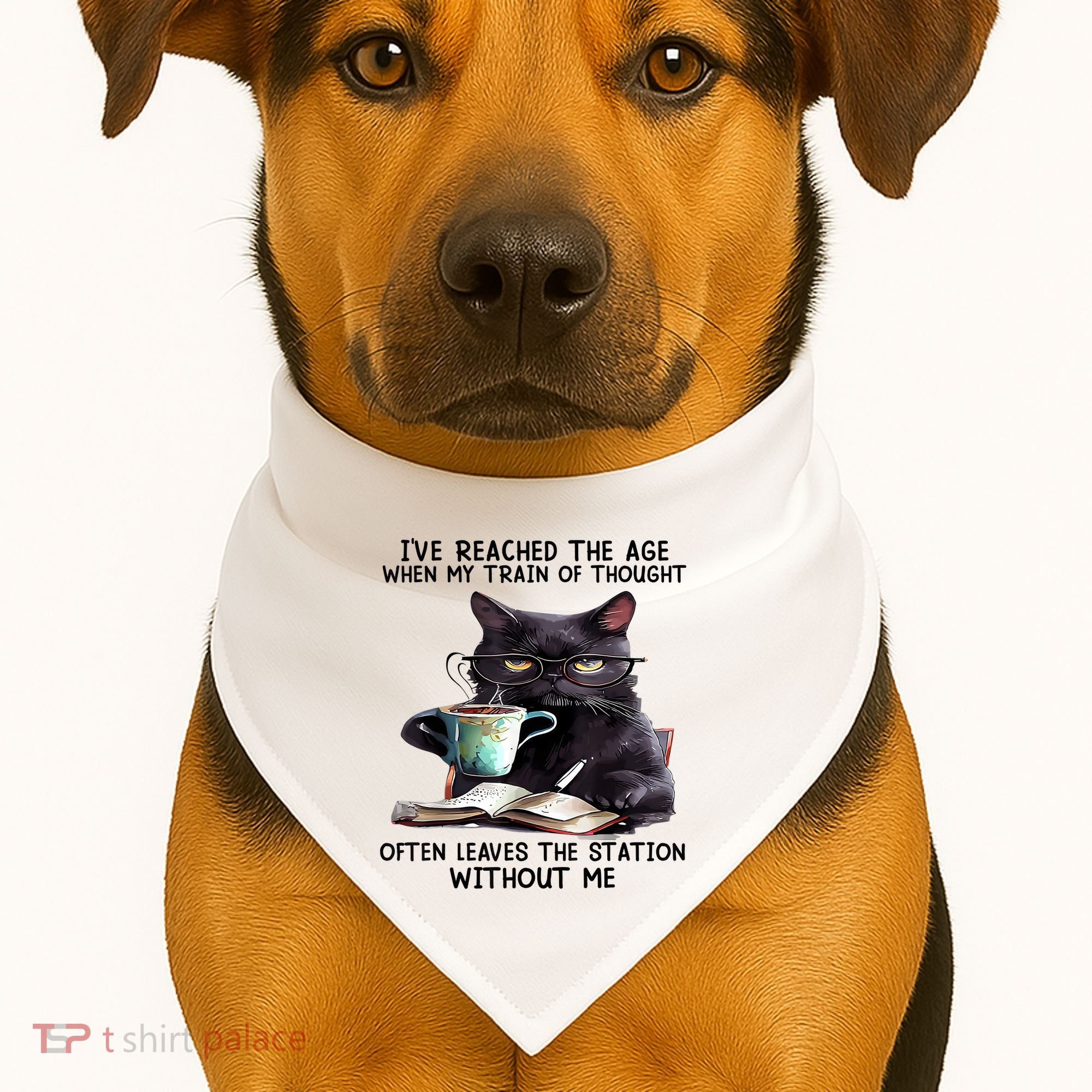 Cat Ive Reached The Age When My Train Of Thought USA-Made Doggie Bandana