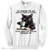Cat Ive Reached The Age When My Train Of Thought Sweatshirt thumb 0