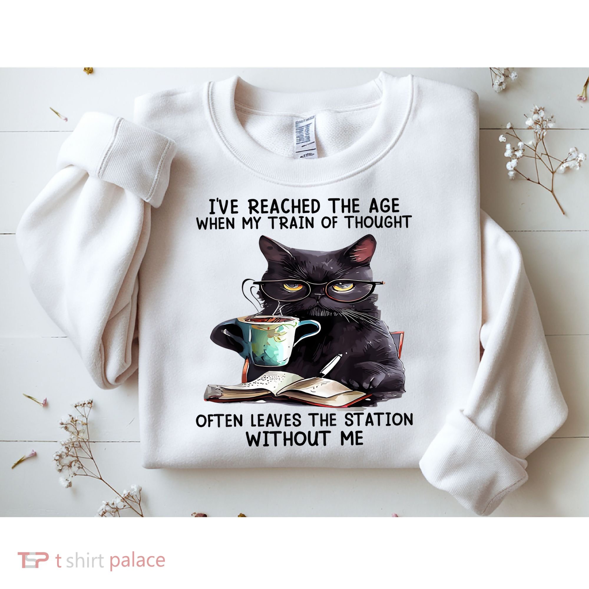 Cat Ive Reached The Age When My Train Of Thought Sweatshirt