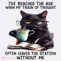 Cat Ive Reached The Age When My Train Of Thought Women's Tank Top thumb 5
