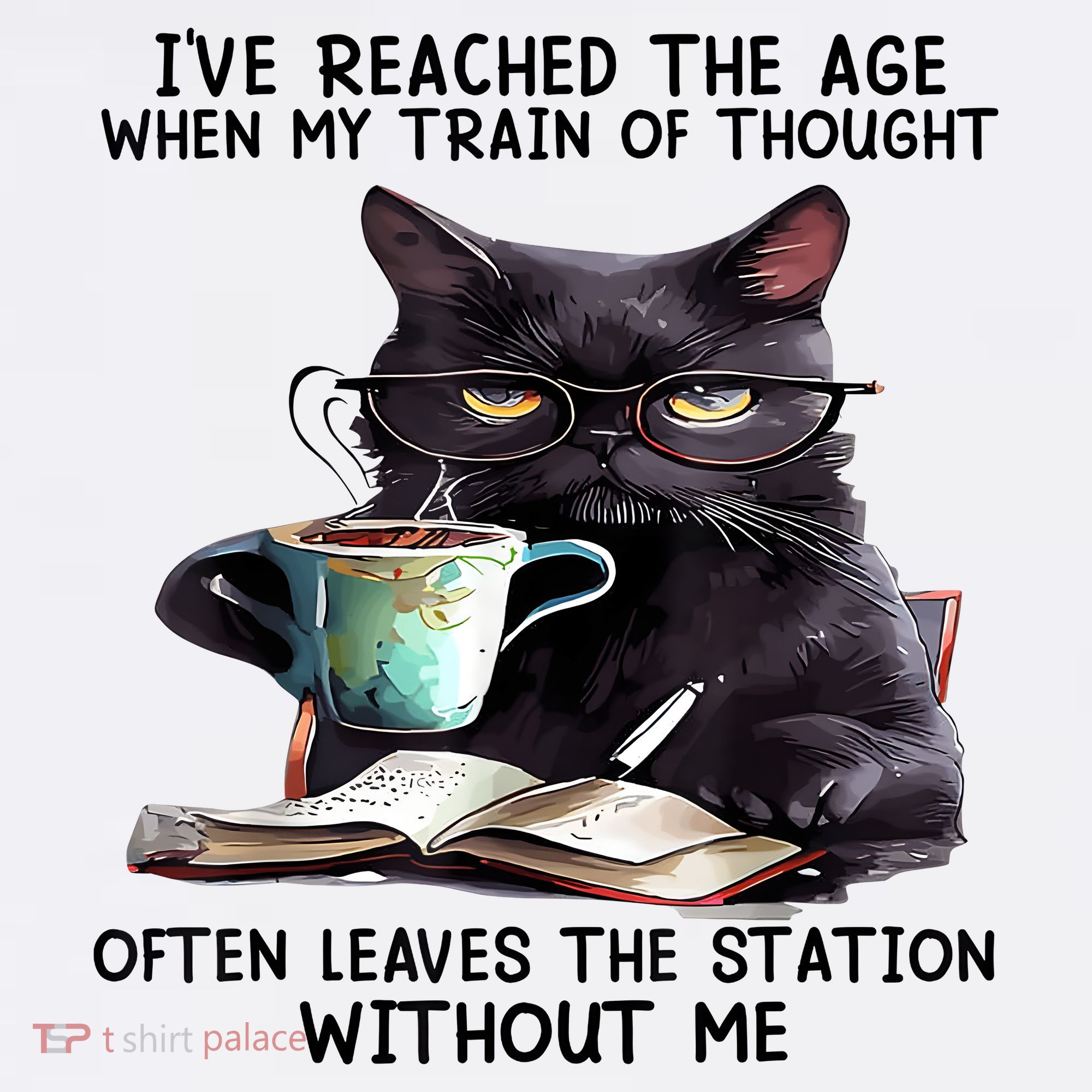 Cat Ive Reached The Age When My Train Of Thought Visor