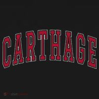 Carthage Illinois Souvenir College Style Red Text Kids Hoodie thumb 5
