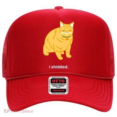 Cat I Shidded Shirt Hat