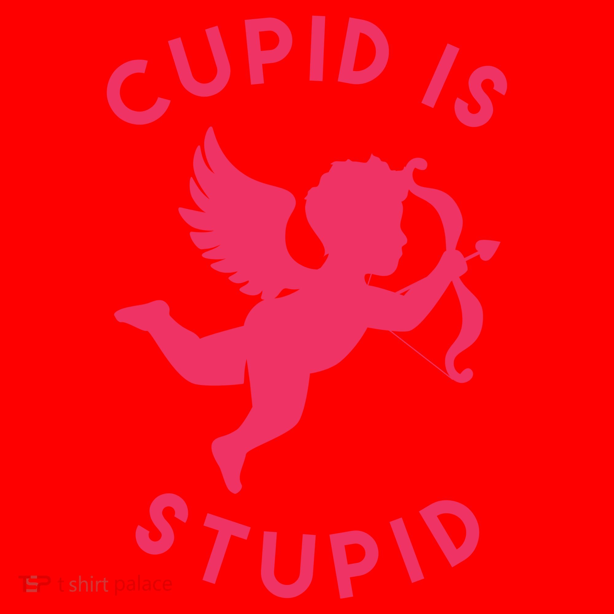 Cupid Is Stupid Anti Valentine Santa Hat