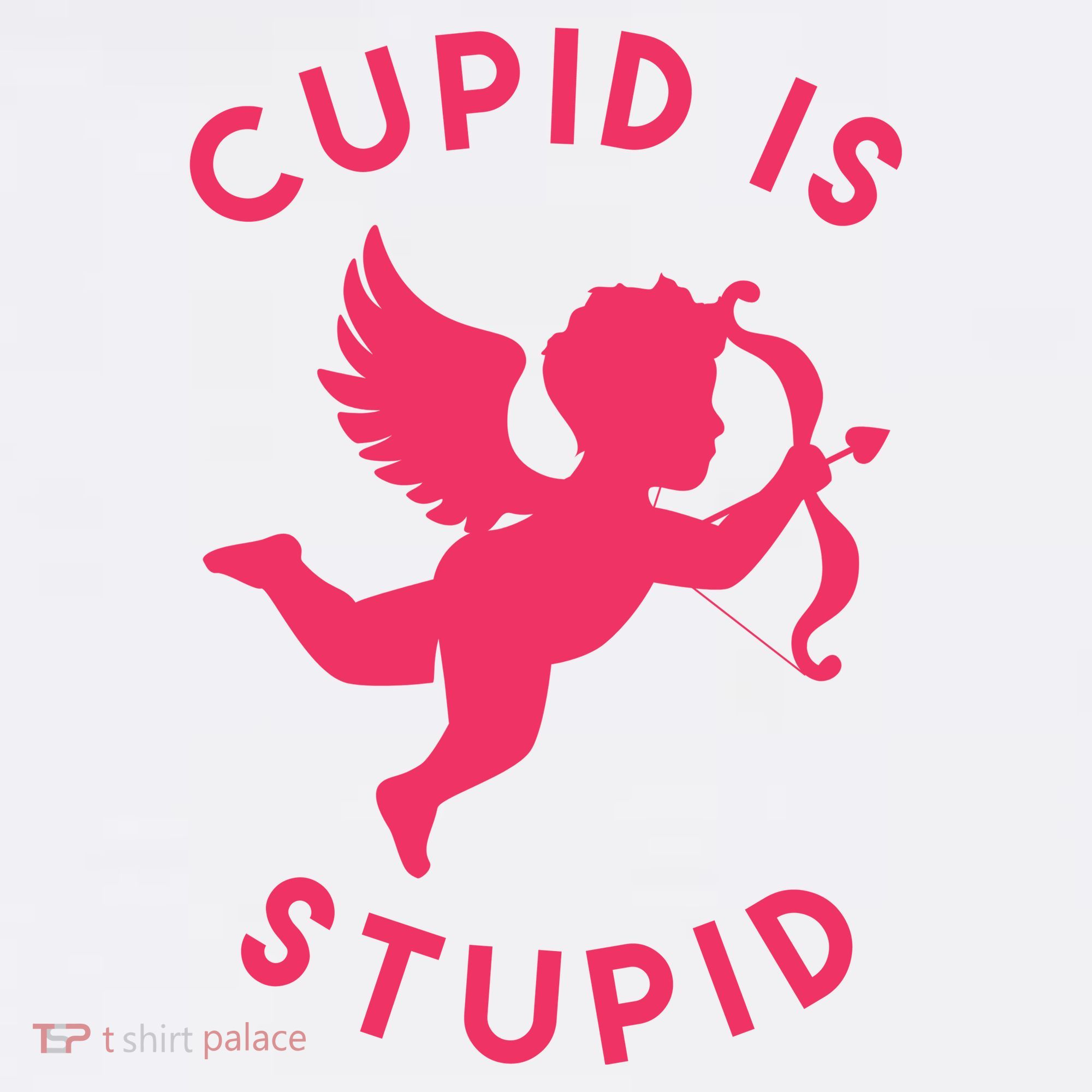 Cupid Is Stupid Anti Valentine Women's Long Sleeve Shirt