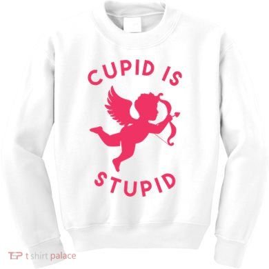 Cupid Is Stupid Anti Valentine Kids Sweatshirt