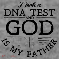 Christian I Took A DNA Test God Is My Father Toddler Hoodie thumb 2