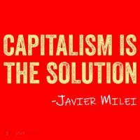 Capitalism Is The Solution Funny Saying Santa Hat thumb 1