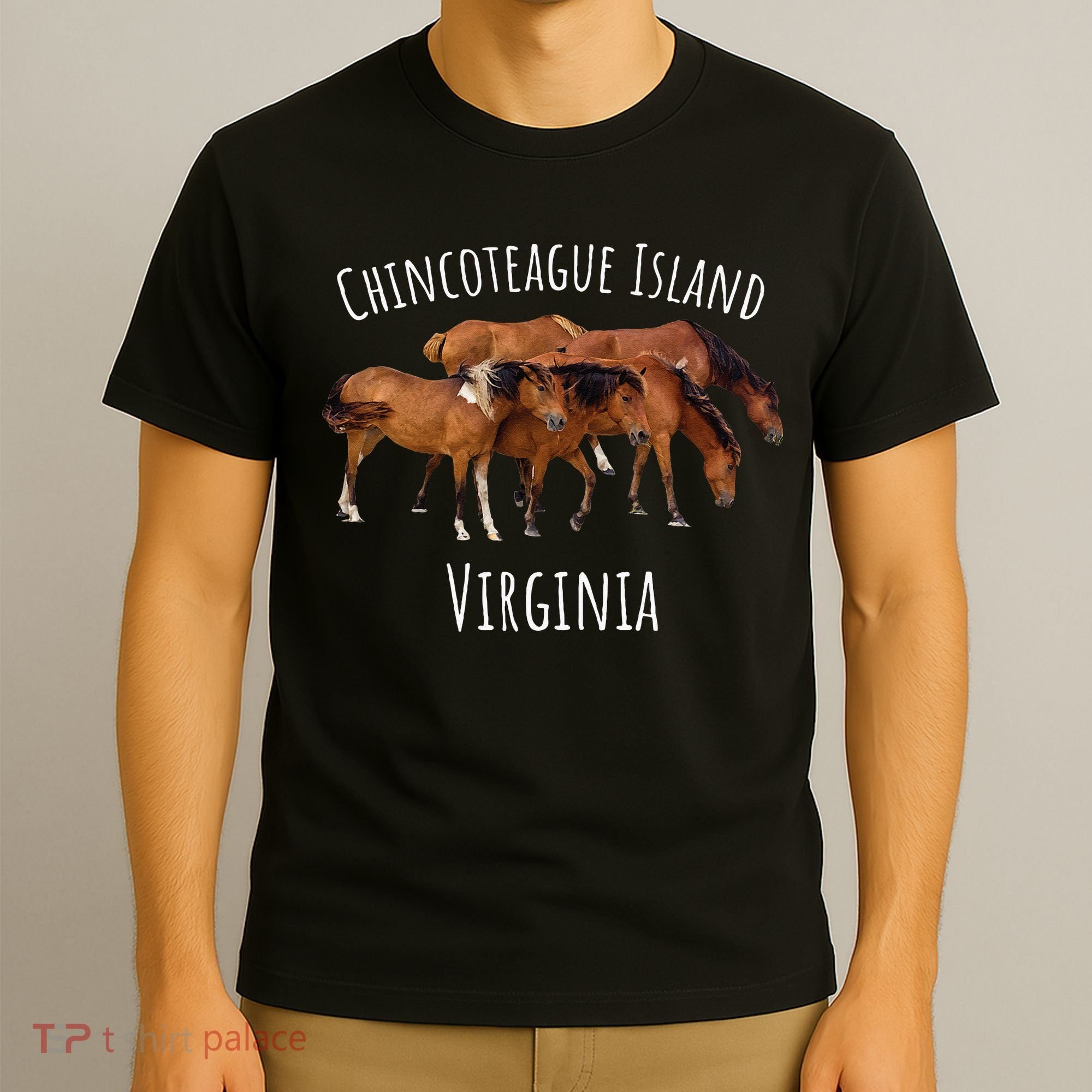 Chincoteague Island Virginia Horse Assateague Pony T-Shirt