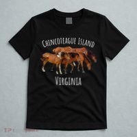 Chincoteague Island Virginia Horse Assateague Pony T-Shirt thumb 5