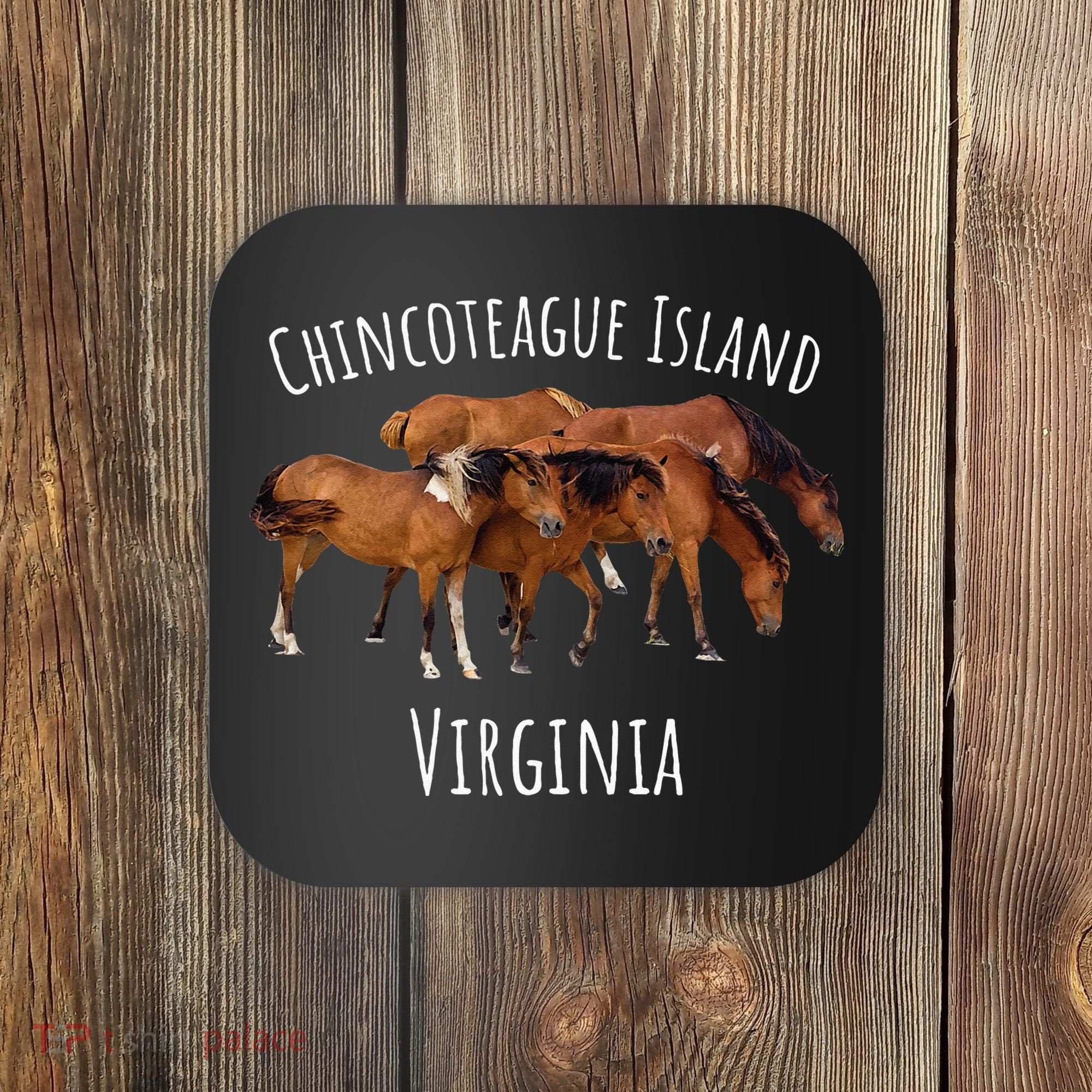 Chincoteague Island Virginia Horse Assateague Pony Coaster