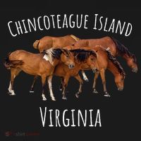 Chincoteague Island Virginia Horse Assateague Pony Women's Hoodie thumb 2