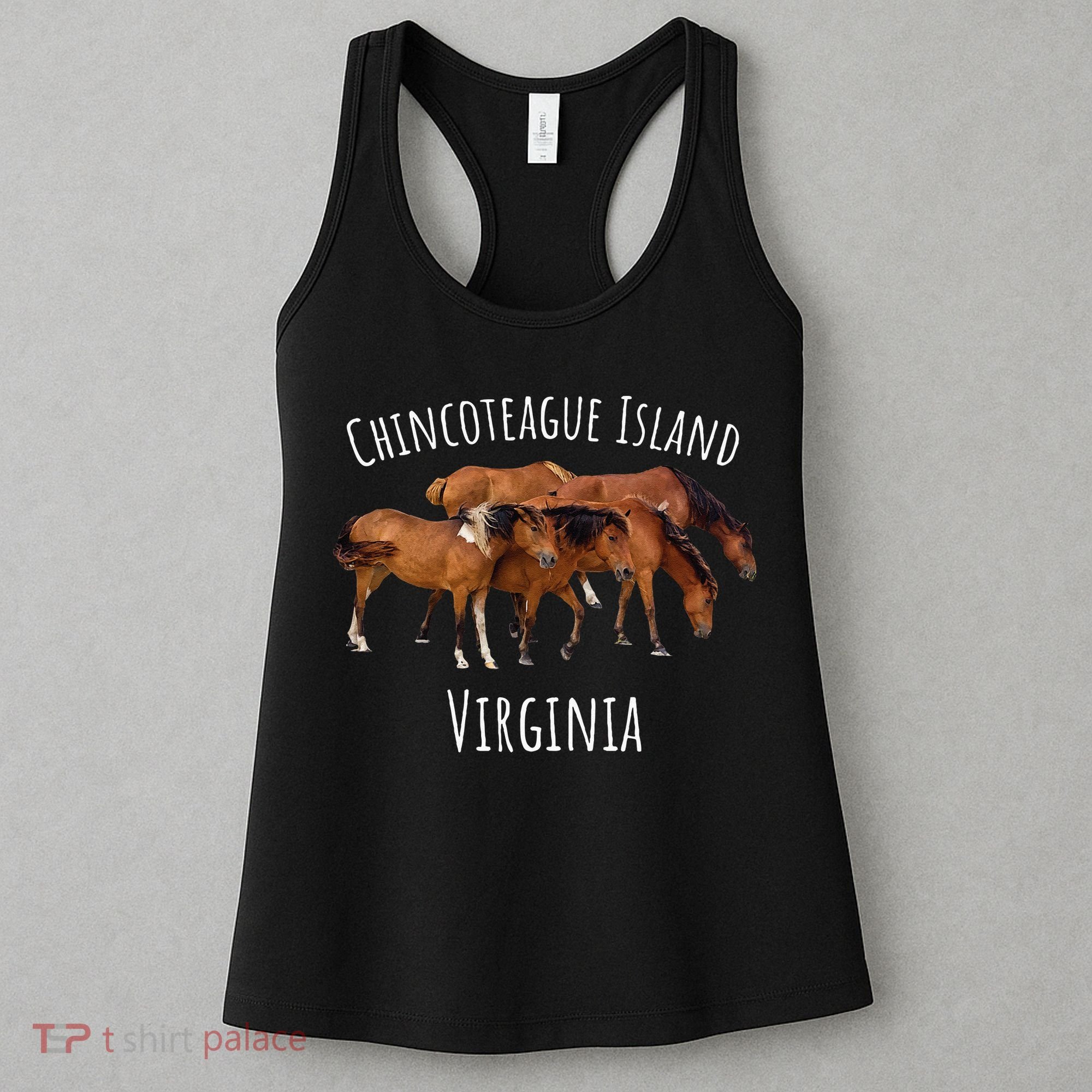 Chincoteague Island Virginia Horse Assateague Pony Women's Tank Top