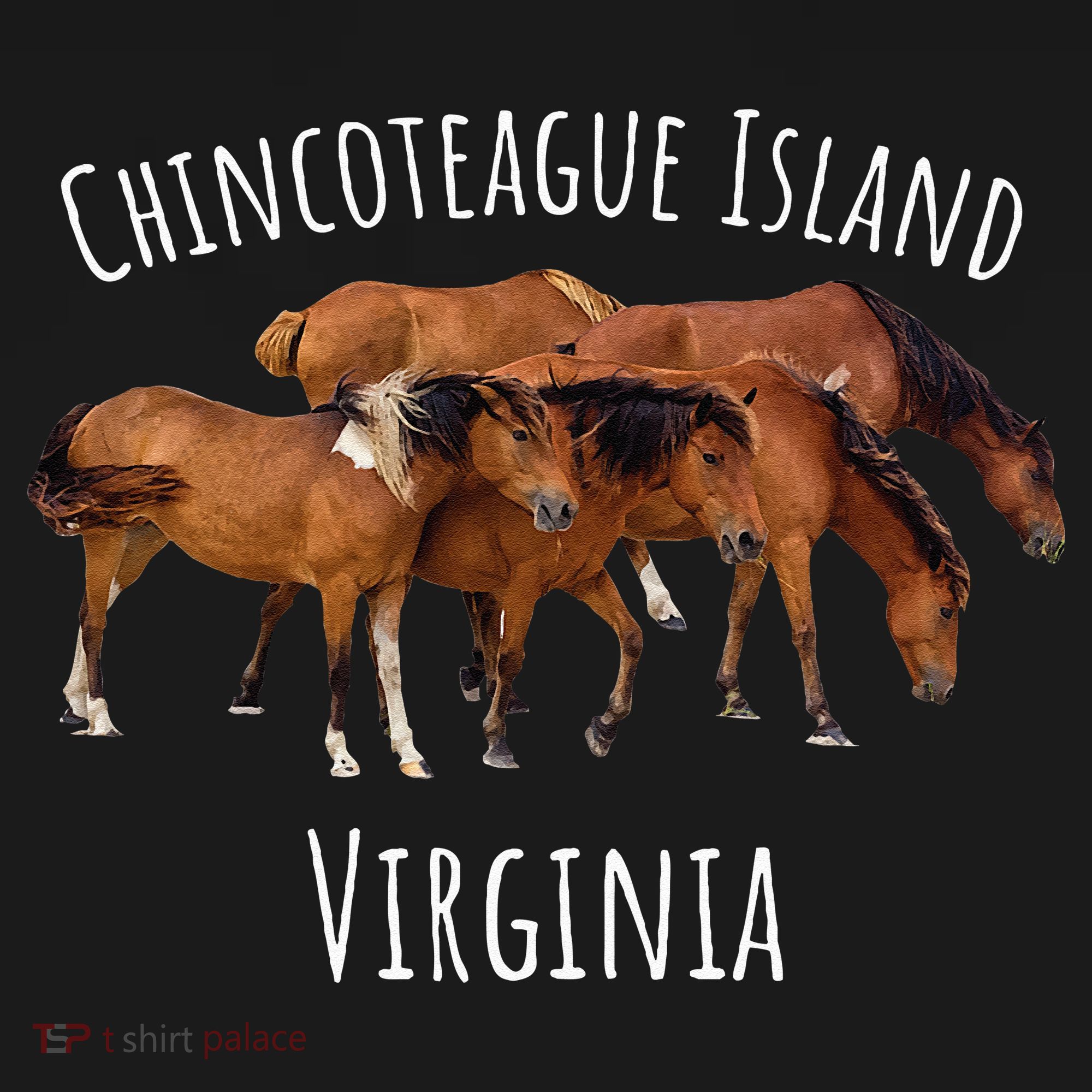 Chincoteague Island Virginia Horse Assateague Pony Tank Top