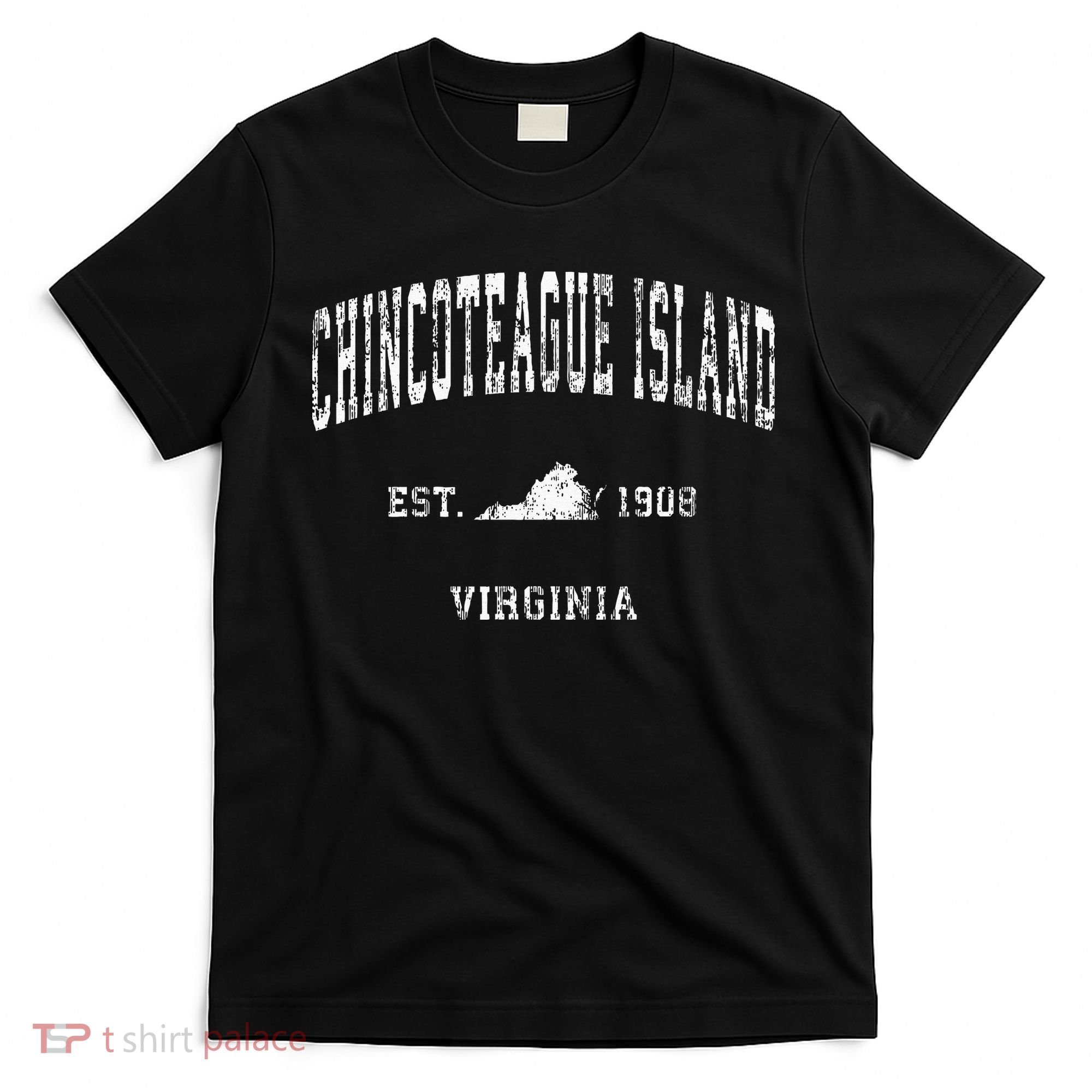 Chincoteague Island Virginia VA Vintage Athletic Sports Desi T-Shirt