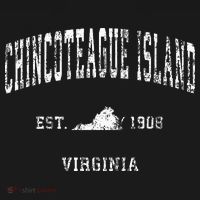 Chincoteague Island Virginia VA Vintage Athletic Sports Desi T-Shirt thumb 7