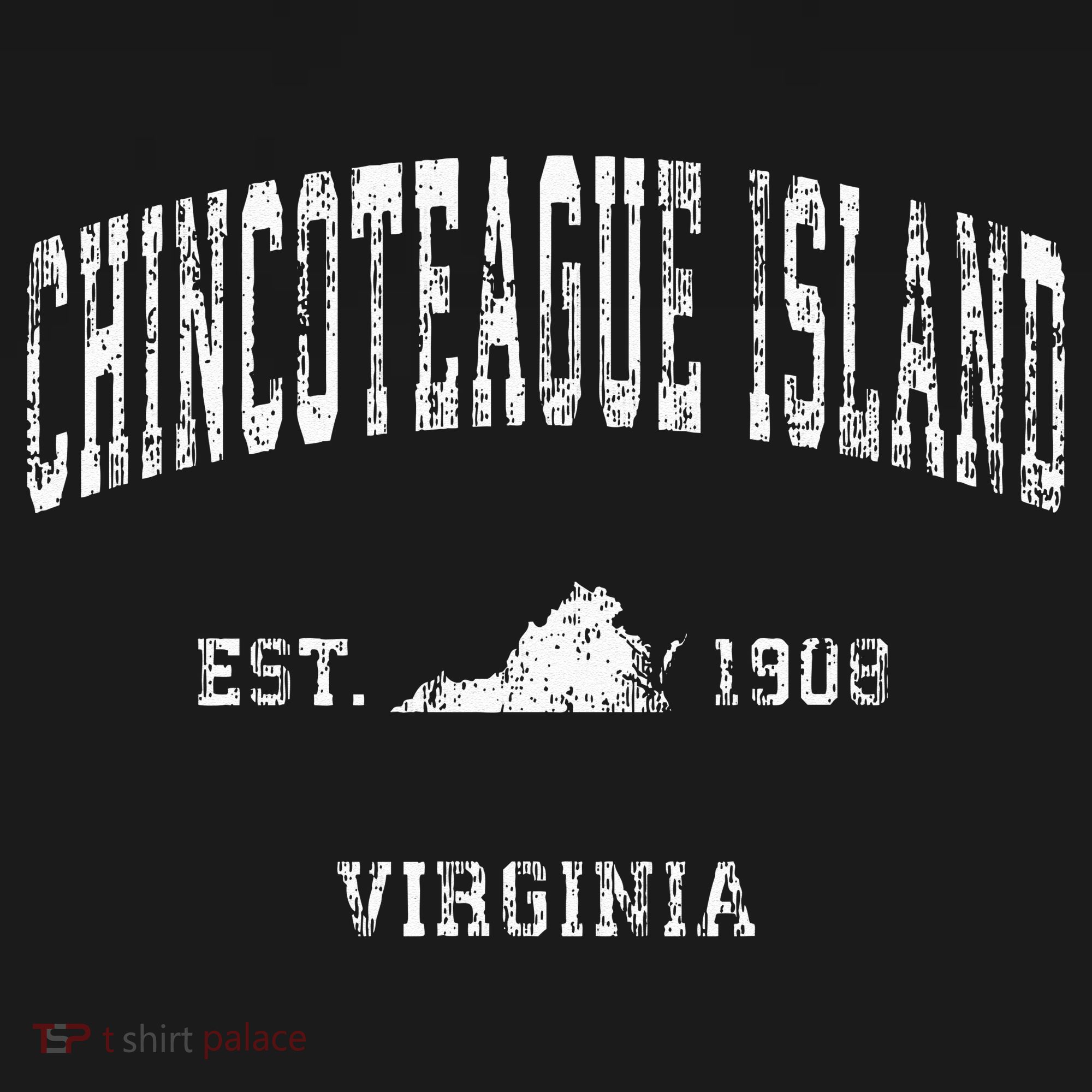 Chincoteague Island Virginia VA Vintage Athletic Sports Desi T-Shirt