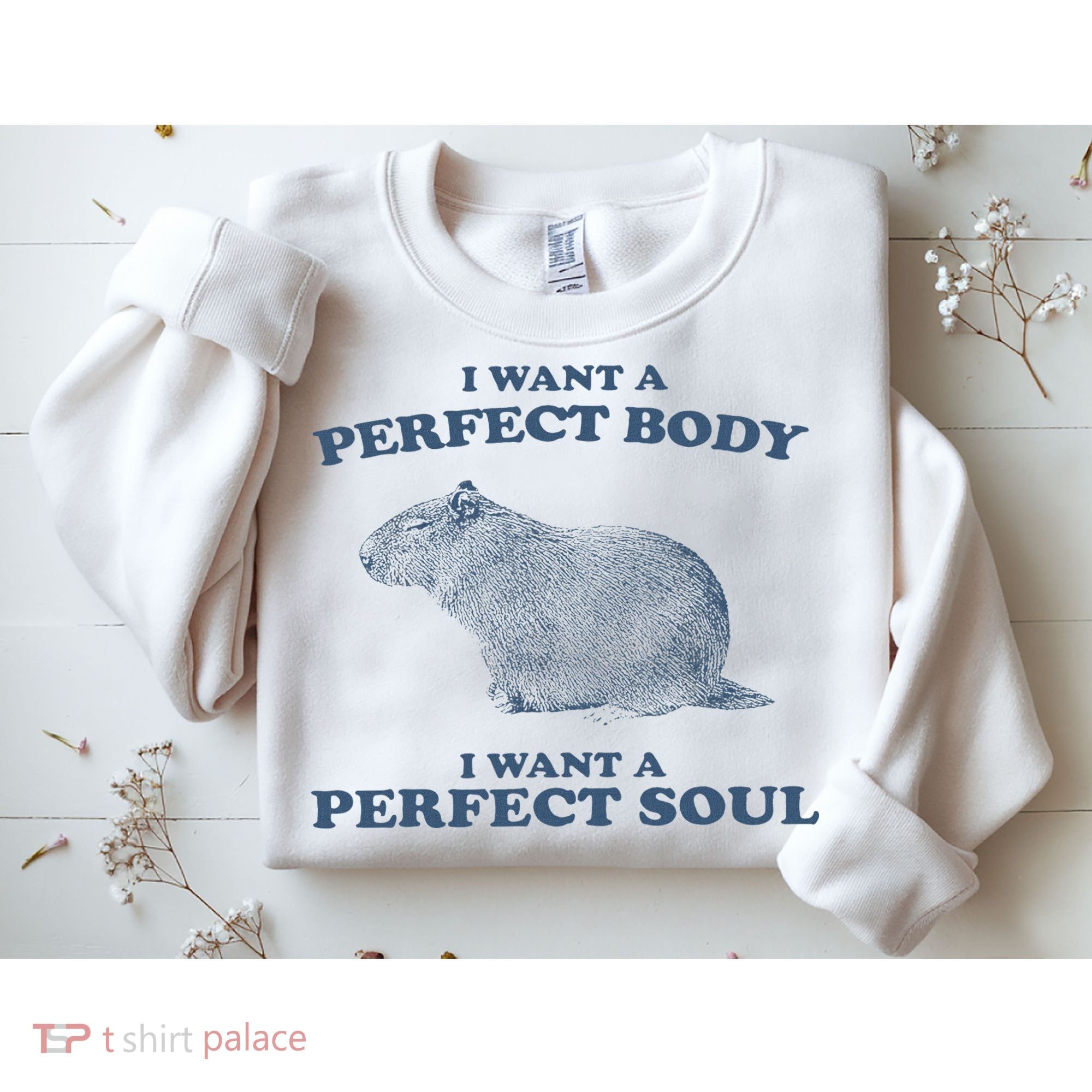 Capybara I Want A Perfect Body I Want A Perfect Soul Retro Sweatshirt