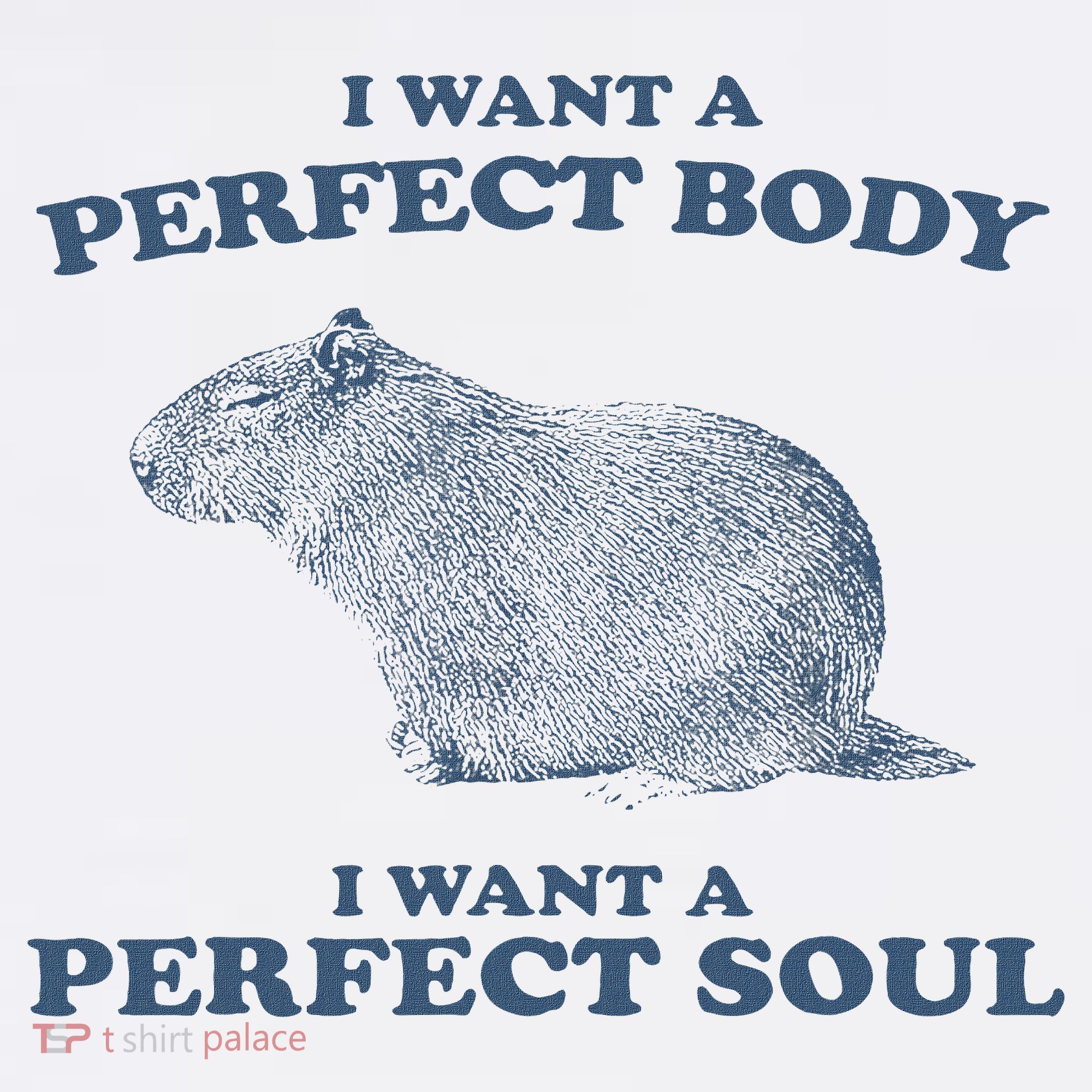 Capybara I Want A Perfect Body I Want A Perfect Soul Retro Women's Hoodie