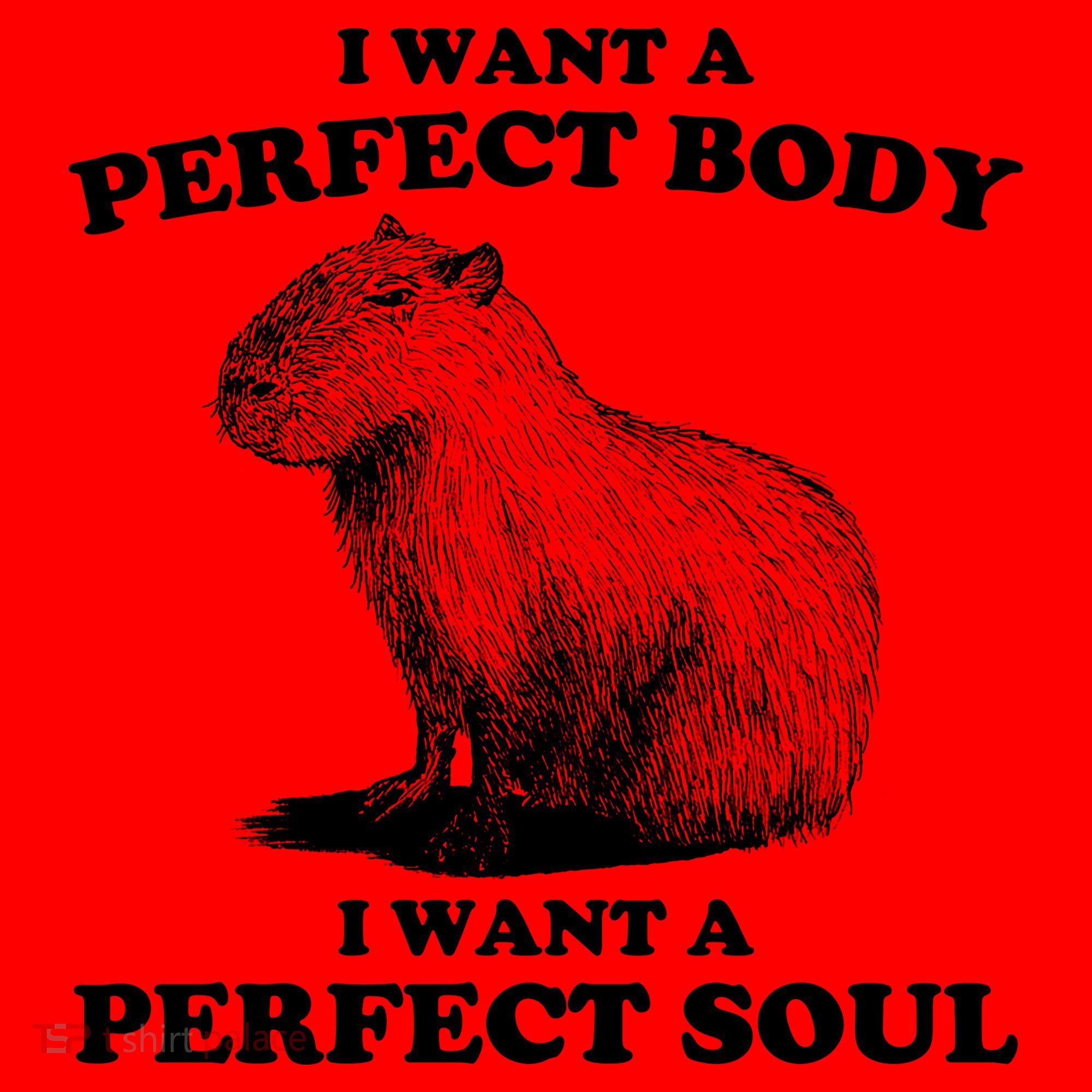 Capybara I Want A Perfect Body I Wan A Perfect Soul Santa Hat