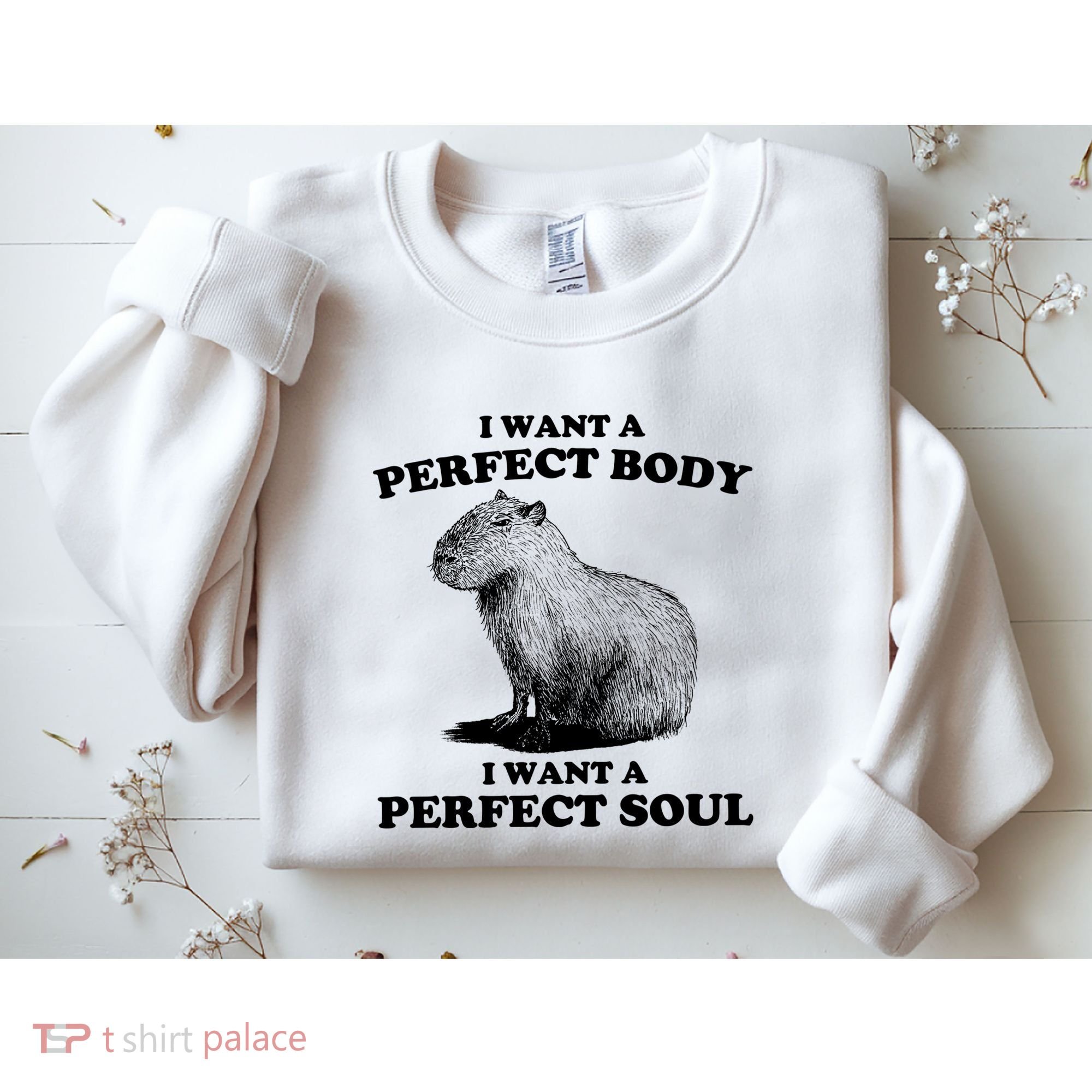 Capybara I Want A Perfect Body I Wan A Perfect Soul Sweatshirt