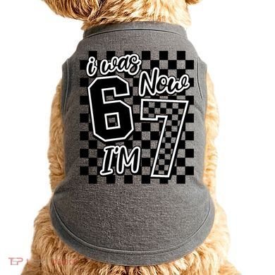 Checkered I Was 6 Now I'm 7 Birthday Seven Years Old Doggie Tank