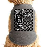Checkered I Was 6 Now I'm 7 Birthday Seven Years Old Doggie Tank thumb 0