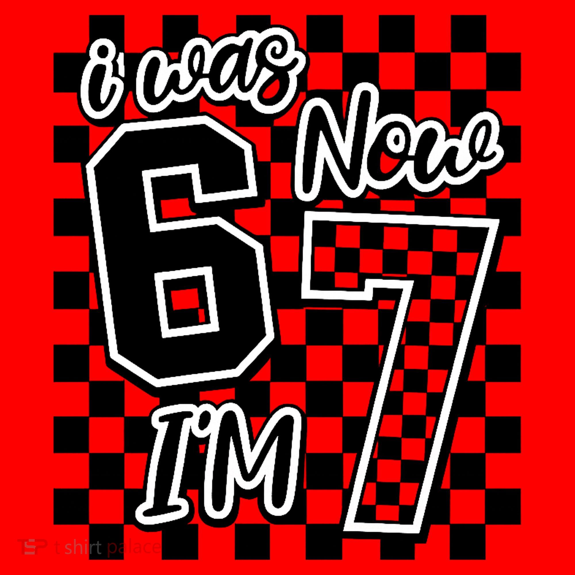 Checkered I Was 6 Now I'm 7 Birthday Seven Years Old Santa Hat
