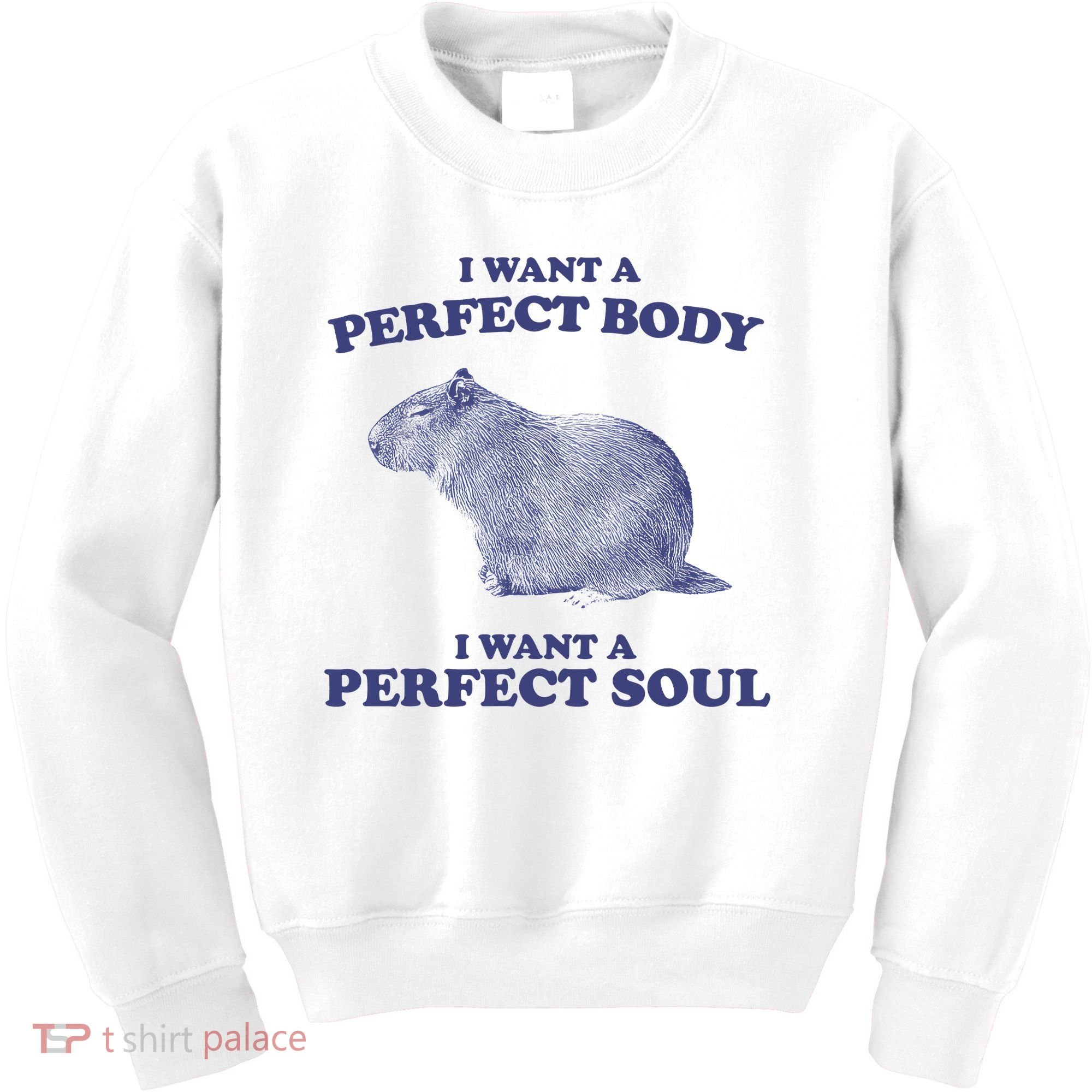 Capybara I Want A Perfect Body I Want A Perfect Soul Meme Kids Sweatshirt