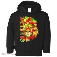 Cool Juneteenth 1865 Lion Head Face Toddler Hoodie thumb 0