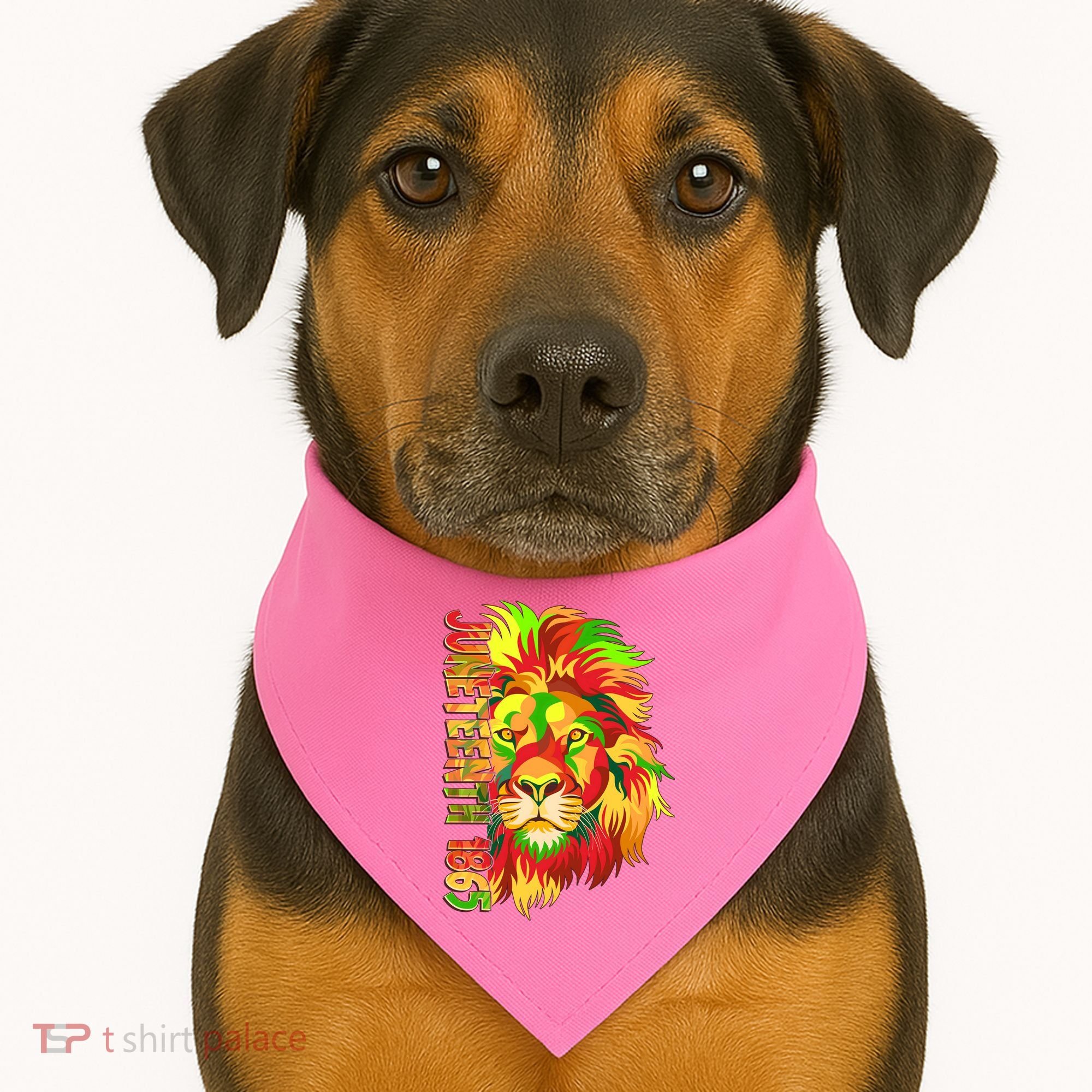 Cool Juneteenth 1865 Lion Head Face USA-Made Doggie Bandana