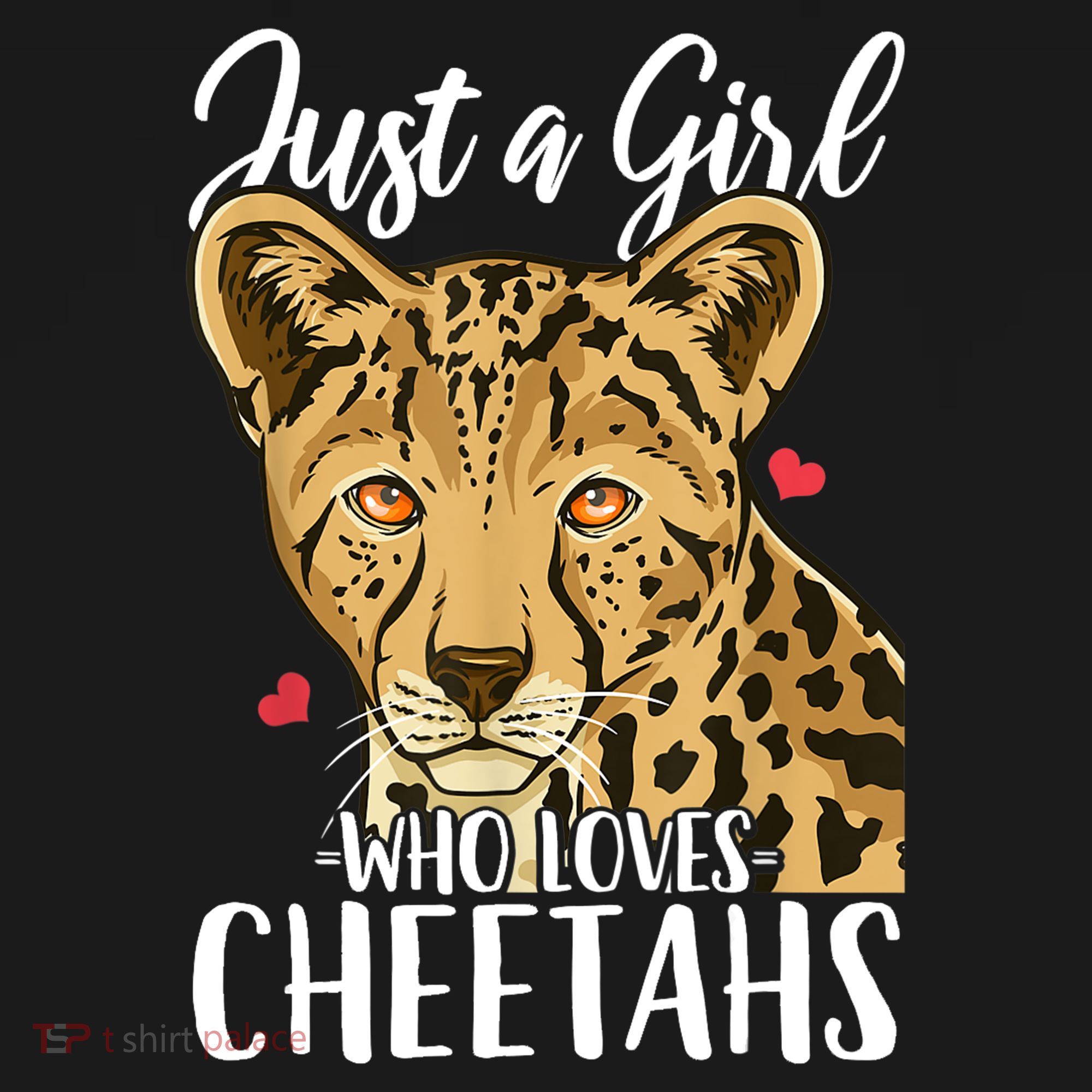 Cheetah Just A Girl Who Loves Cheetahs Cool Gift Women's Hoodie