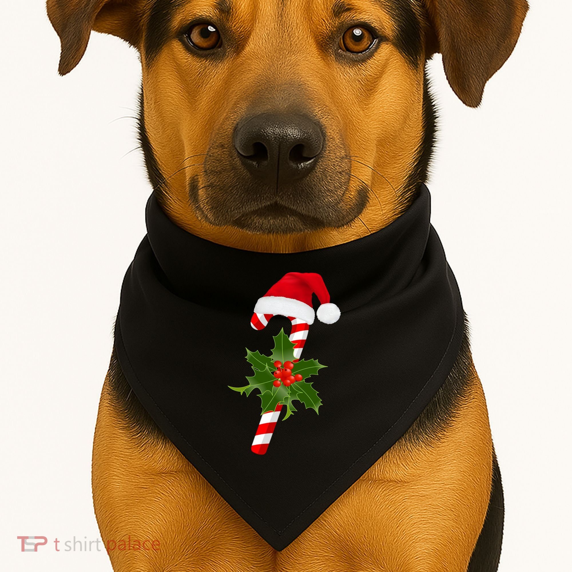 Christmas Jolly Candy Cane USA-Made Doggie Bandana