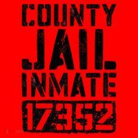 County Jail Inmate Inmate Costume Santa Hat thumb 1
