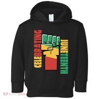 Celebrating Juneteenth Power Fist Toddler Hoodie thumb 0