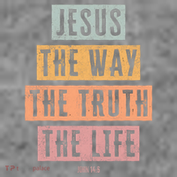 Christian Jesus The Way Truth Life Toddler Hoodie thumb 2