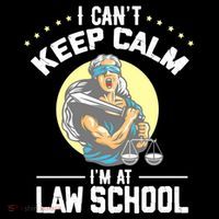 Cant Keep Calm At Law School Future Lawyer Scale Graduation Cute Gift Women's Hoodie thumb 2