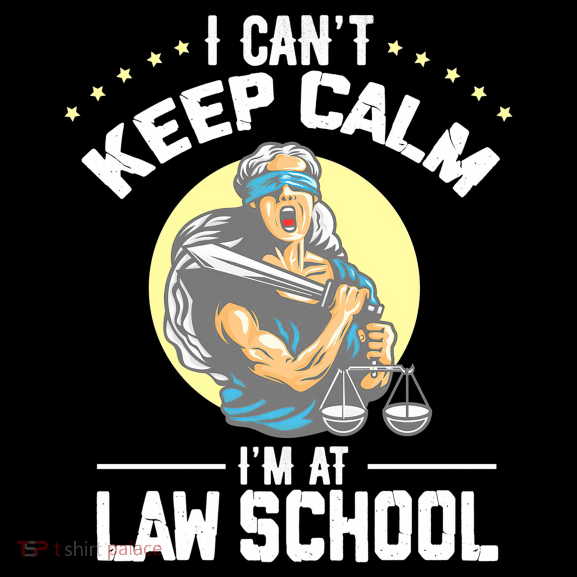 Cant Keep Calm At Law School Future Lawyer Scale Graduation Cute Gift Women's Hoodie