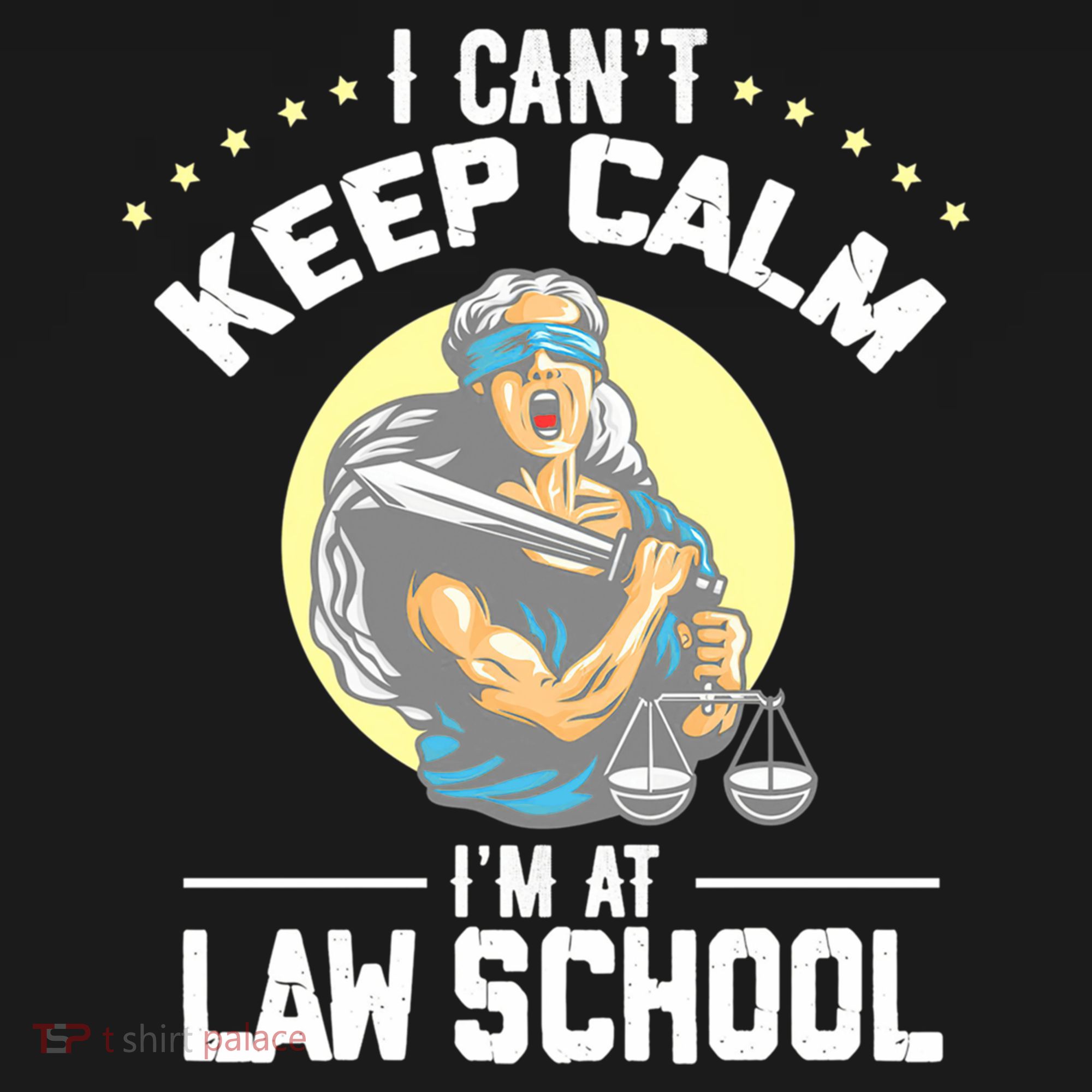 Cant Keep Calm At Law School Future Lawyer Scale Graduation Cute Gift Ornament