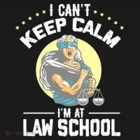Cant Keep Calm At Law School Future Lawyer Scale Graduation Cute Gift Ornament thumb 1