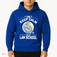 Cant Keep Calm At Law School Future Lawyer Scale Graduation Cute Gift Hoodie thumb 2