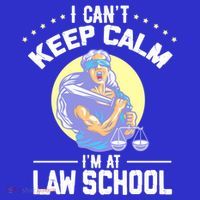 Cant Keep Calm At Law School Future Lawyer Scale Graduation Cute Gift Hoodie thumb 7