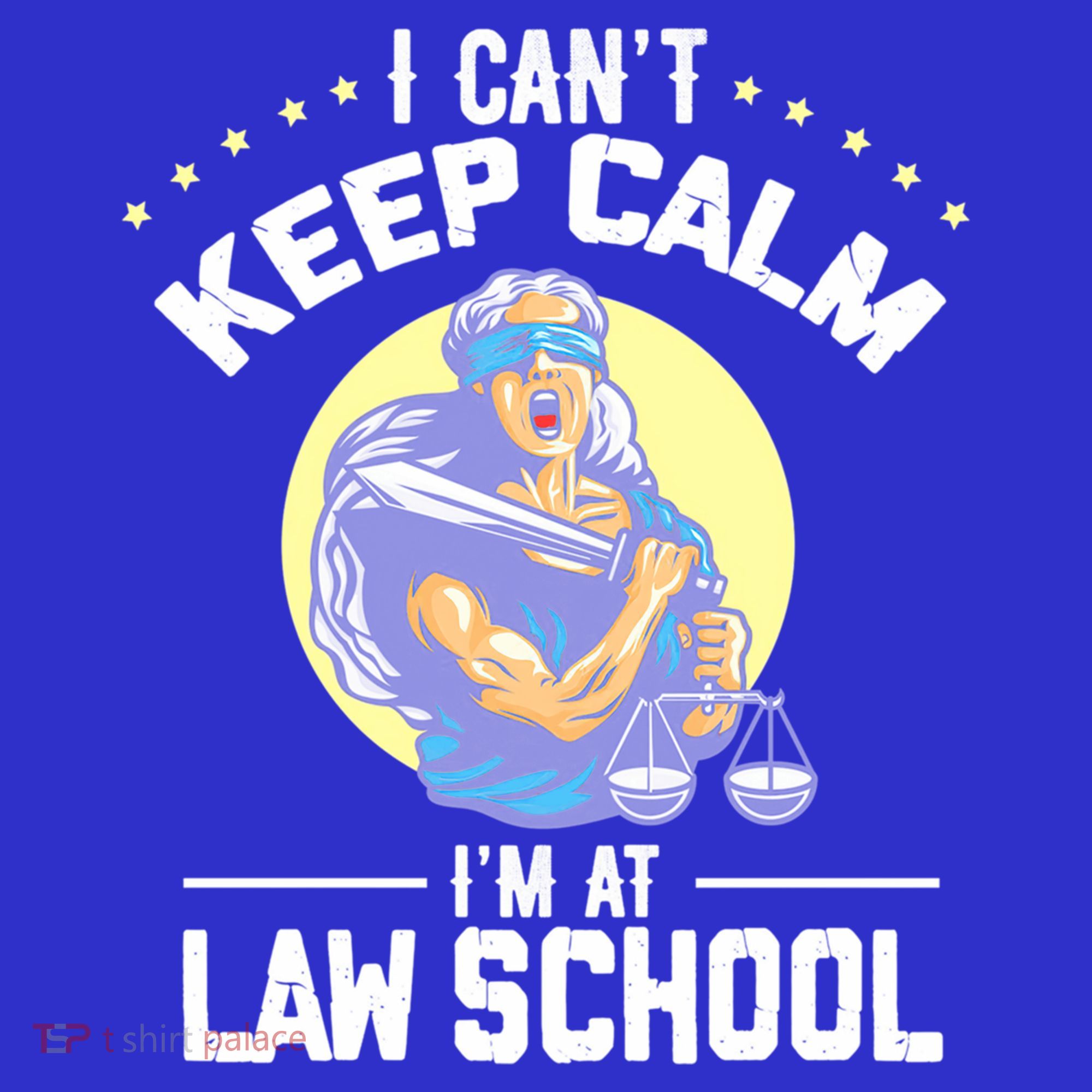 Cant Keep Calm At Law School Future Lawyer Scale Graduation Cute Gift Hoodie