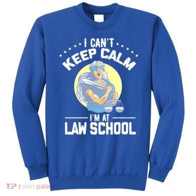 Cant Keep Calm At Law School Future Lawyer Scale Graduation Cute Gift Sweatshirt