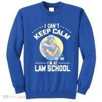 Cant Keep Calm At Law School Future Lawyer Scale Graduation Cute Gift Sweatshirt thumb 0